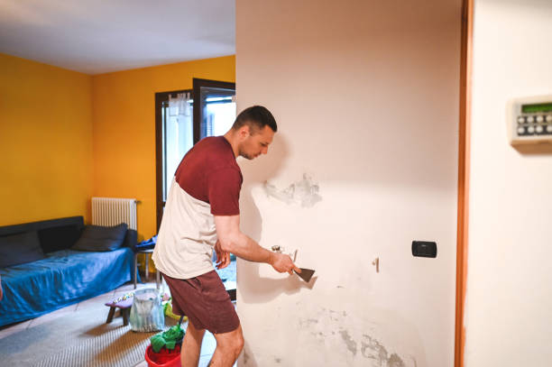 Vinita Park, MO Mold Remediation Company